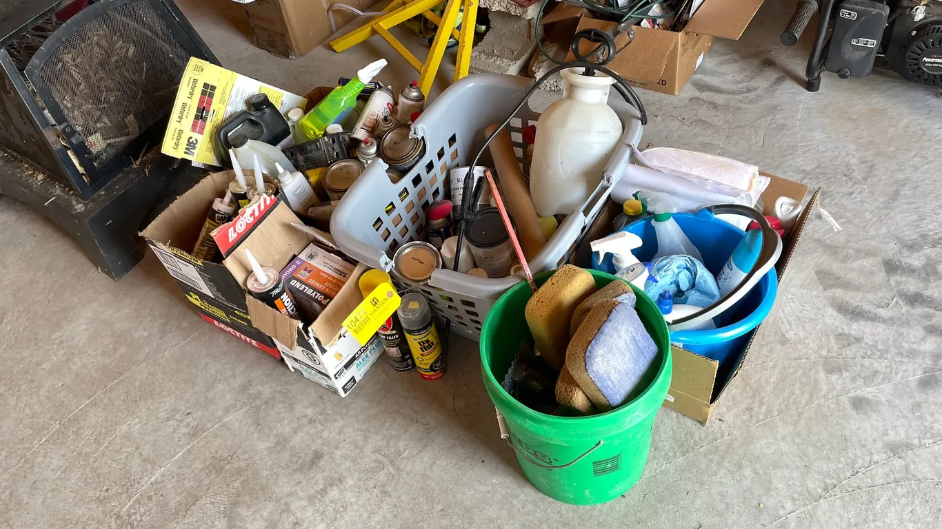 Assortment of Cleaning Supplies