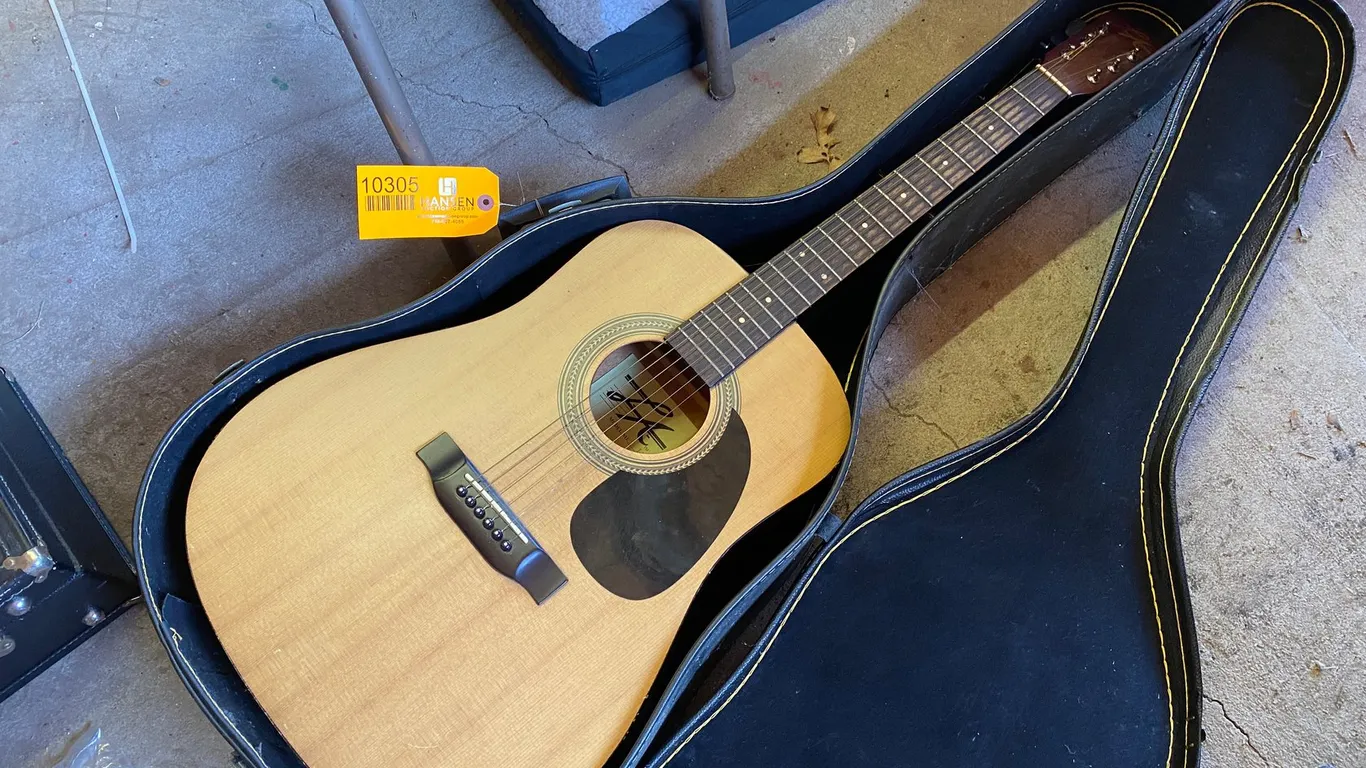 LA Acoustic Guitar