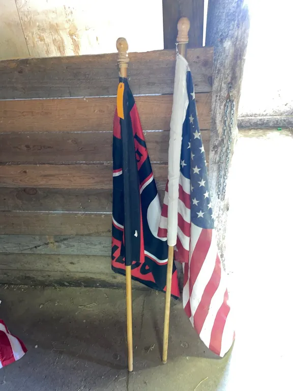 American Flag and University of Georgia Flag