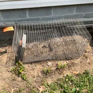 Wire Rabbit Enclosure