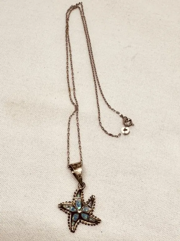 Fine Sterling Silver Chain and beautiful Starfish Pendant. chain missing a link untested