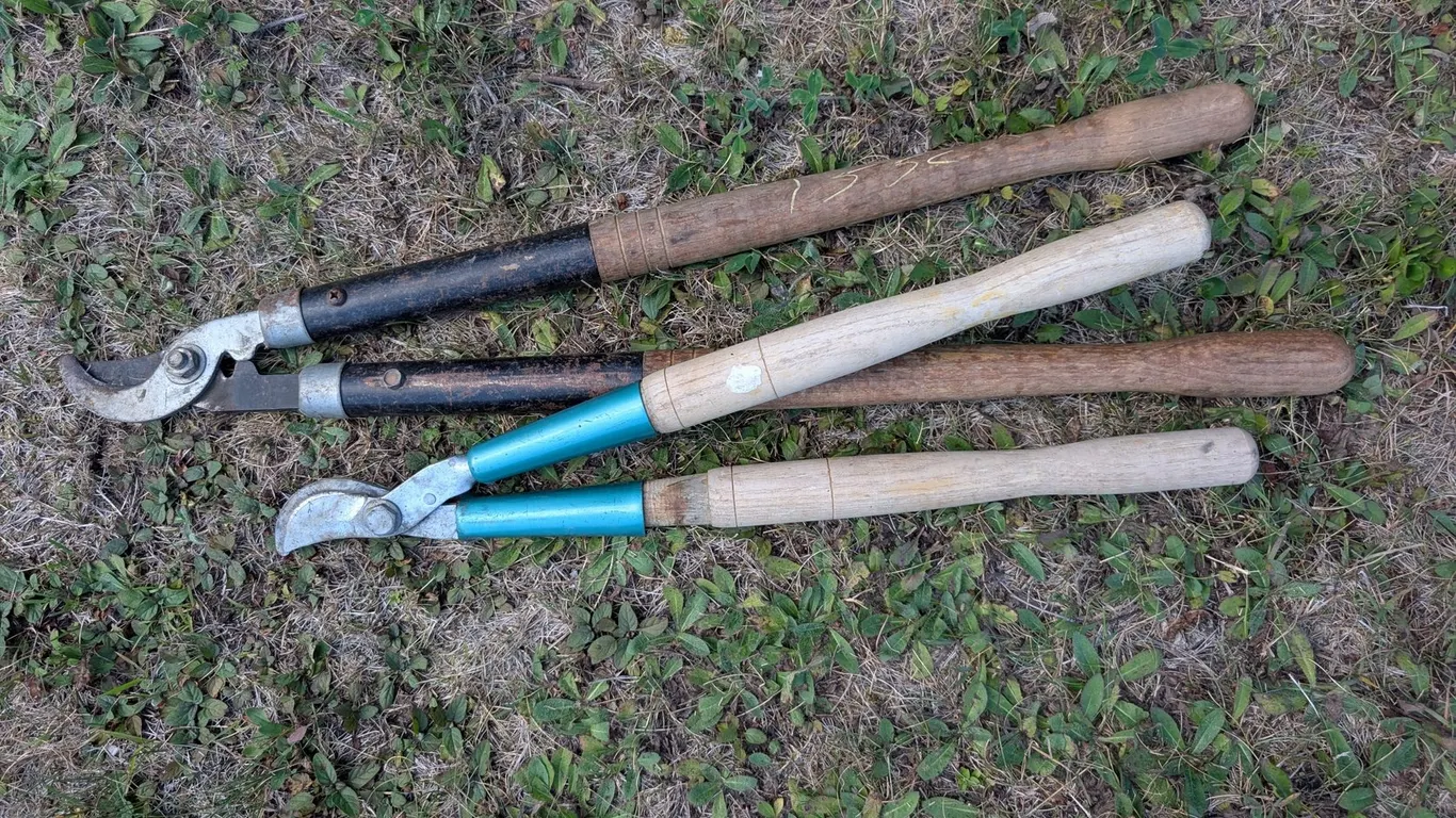 LIMB LOPPERS
