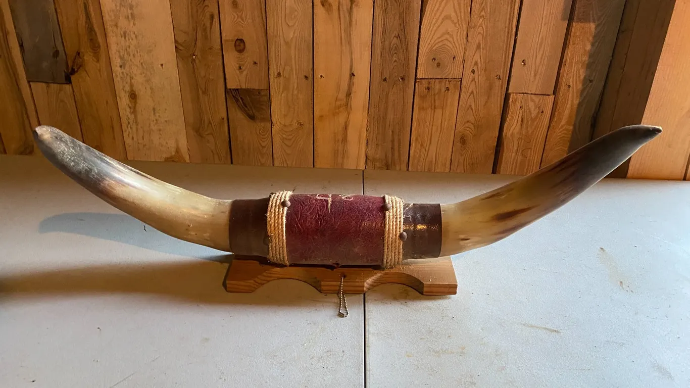 BULL HORN ORNAMENT