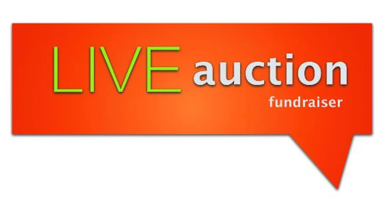 LIVE AUCTION DETAILS - CLICK HERE!