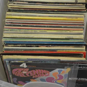 Lot Of 40 Unpicked 33RPM Records