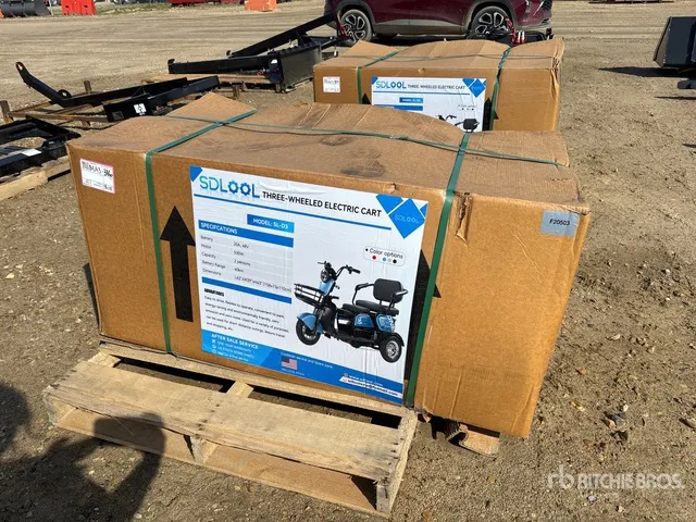 2026 SDLOOL SL-D3 Electric Trike (Unused)