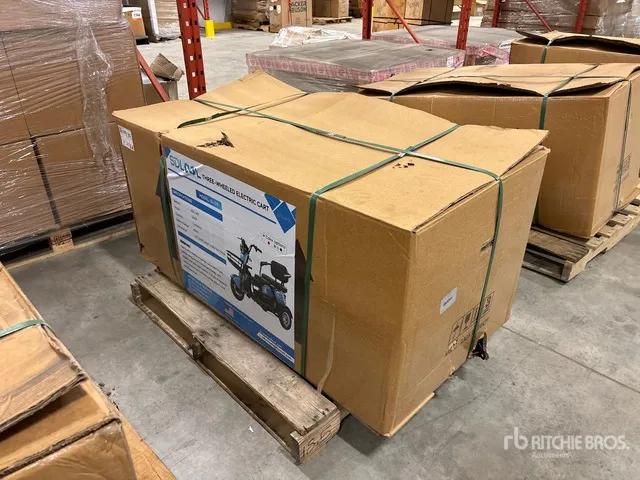 2026 SDLOOL SL-D3 Electric Trike (Unused)