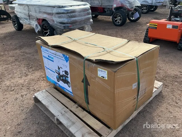 2026 SDLOOL SL-D3 Electric Trike (Unused)