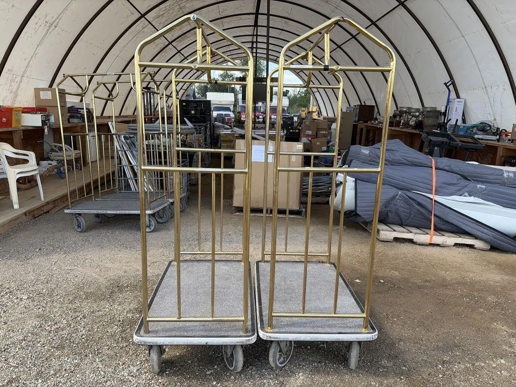 Two Luggage Carts