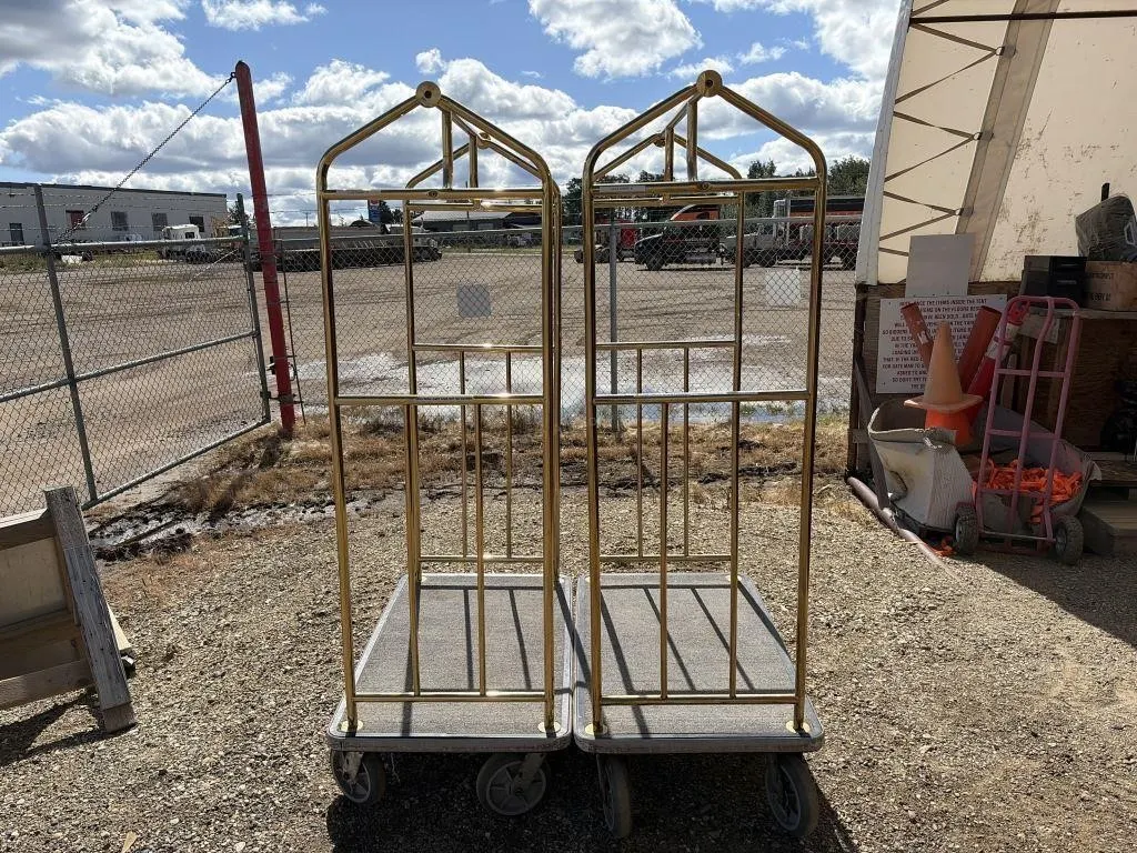 Two Luggage Carts