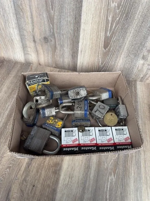 Master Lock Maximum Security Padlocks Lot