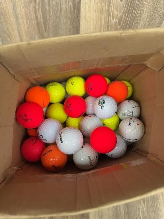 Bulk Assorted Golf Balls Lot