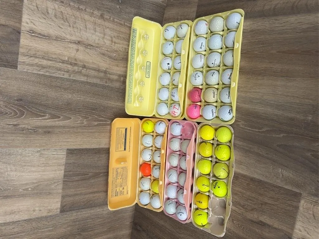 Assorted Golf Balls in Egg Cartons Lot