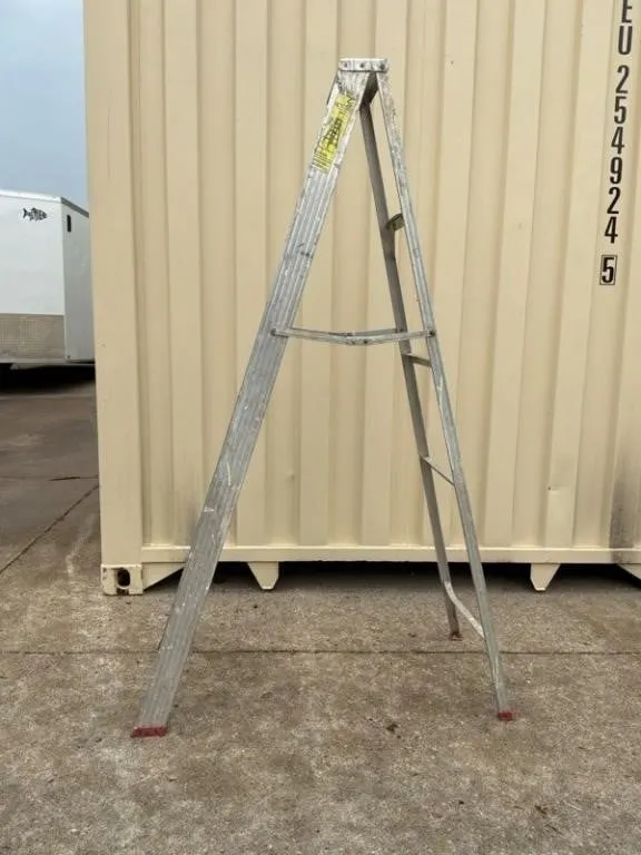 Werner 366 6 ft Safety Master Ladder
