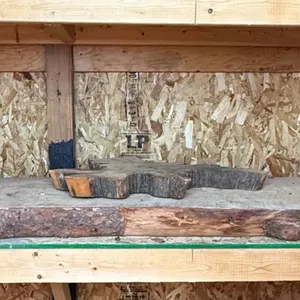 Live Edge Wood