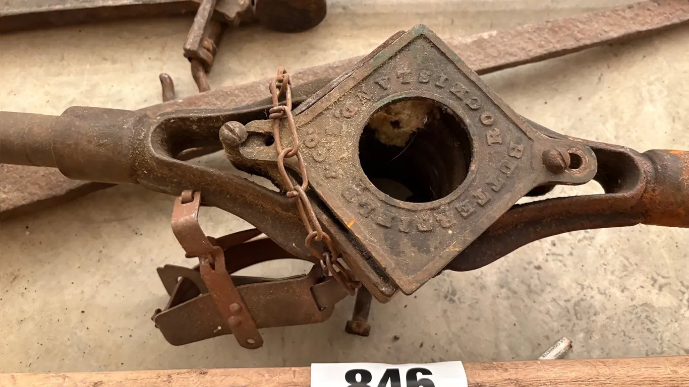 Lot 846