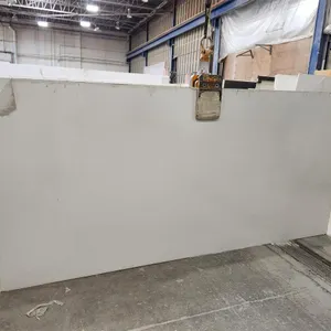 Caesarstone 3141P Quartz Slab
 UNRESERVED
