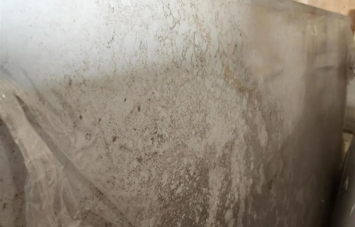 (2) Caesarstone Quartz Slabs
UNRESERVED
