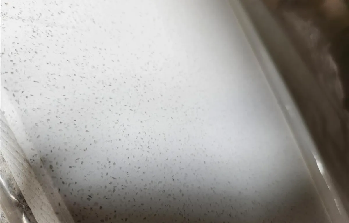 Caesarstone Quartz Surface Slabs
UNRESERVED