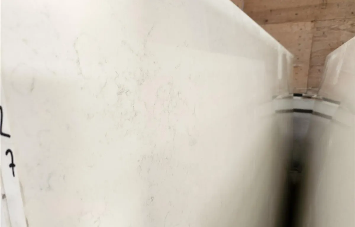 (3) TMS Biotic White Quartz Slabs
UNRESERVED