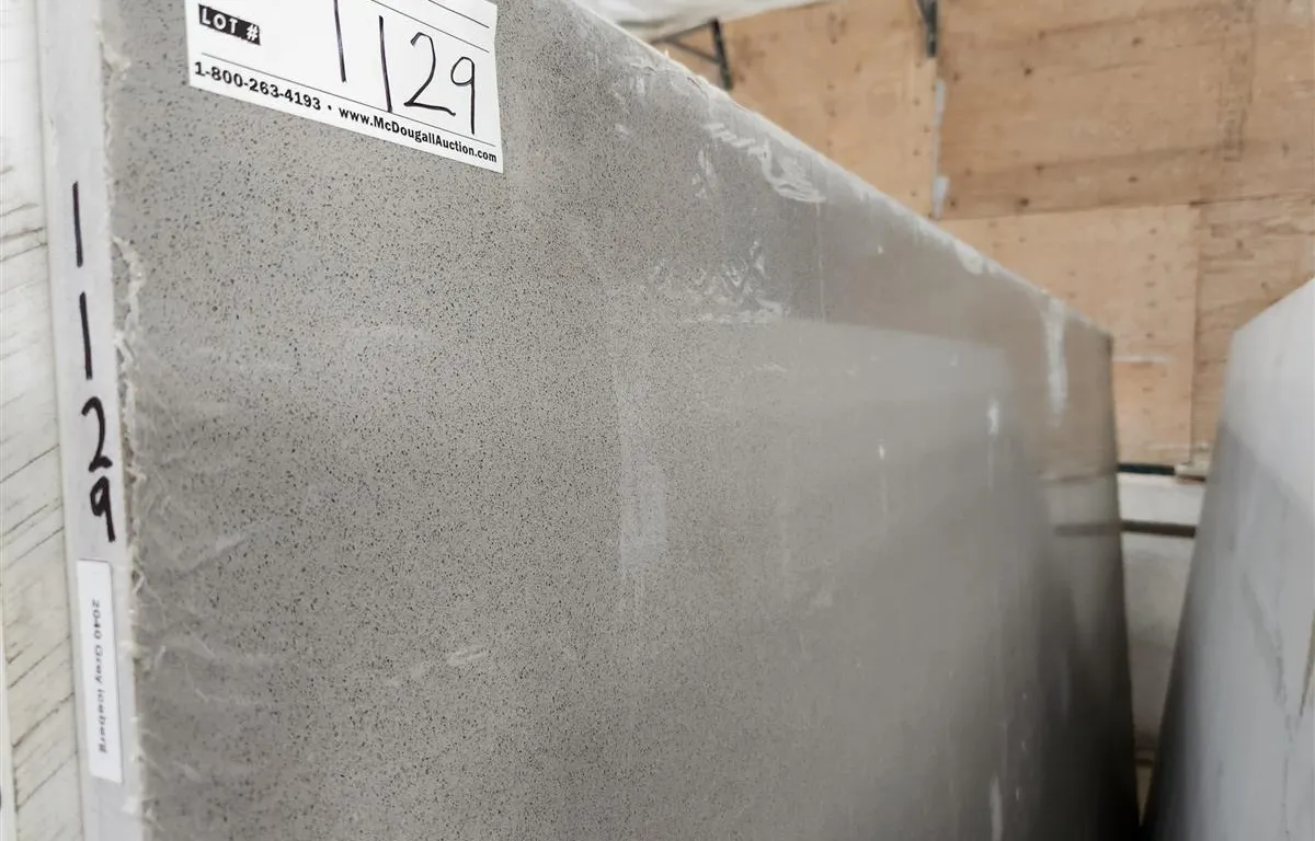 Grey Iceberg Quartz Slab
UNRESERVED