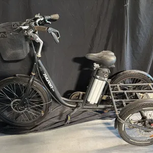 THUNDER E BIKE BLACK 7-SPEED ELECTRIC 3-WHEEL BICYCLE