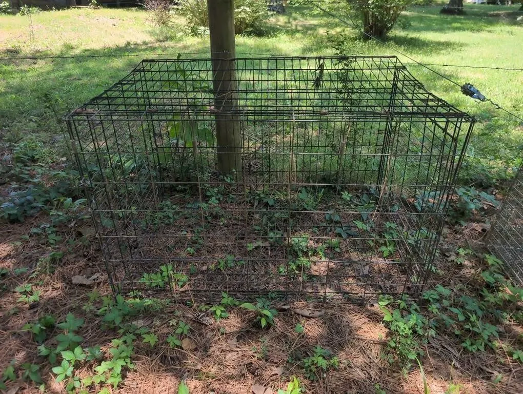 Large cage 48x32x31H