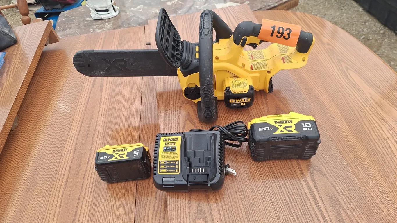 Dewalt chainsaw (Good working condition)