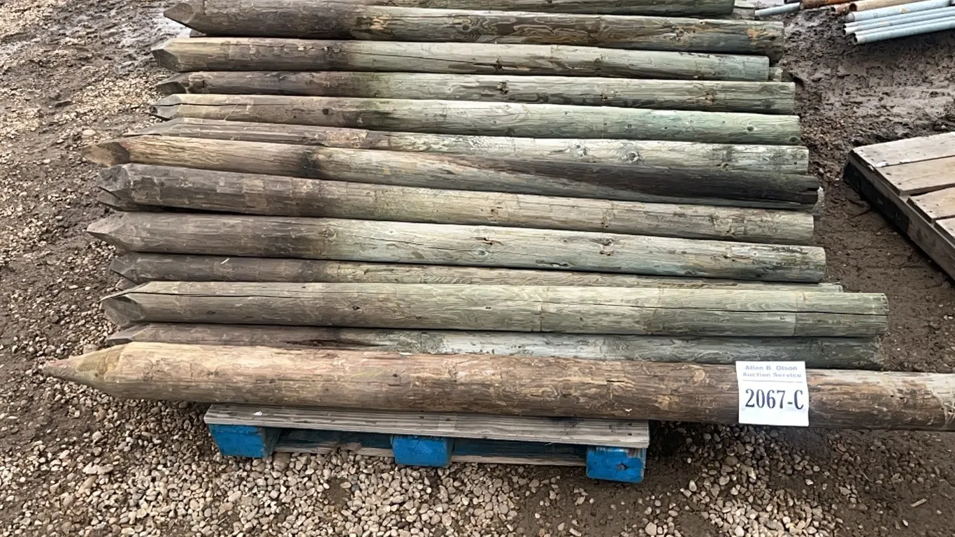 81 - TREATED WOOD FENCE POSTS
