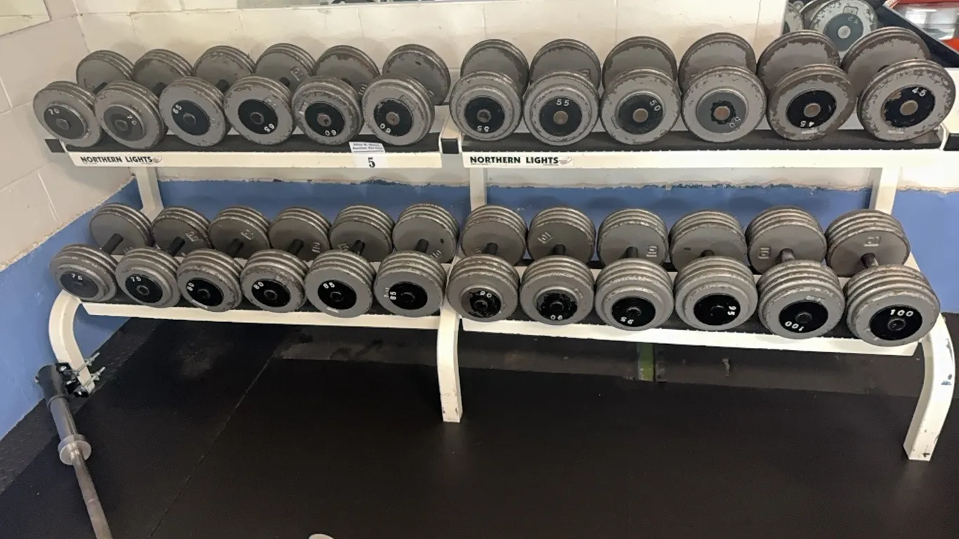 CAST IRON WELDED DUMBBELL SET (45-100 LB) w/ LARGE NORTHERN LIGHTS COMMERCIAL TWO-TIER DUMBBELL RACK