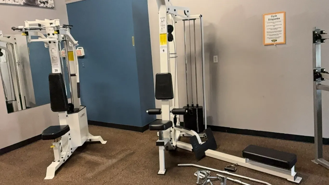 PRIMAL STRENGTH STEALTH DUAL LAT PULLDOWN/SEATED ROW MACHINE