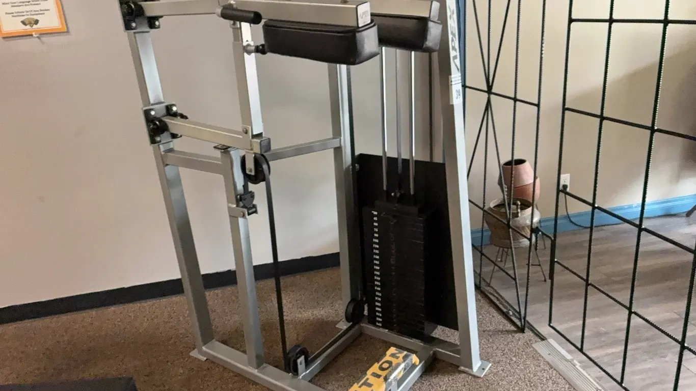 APEX STANDING CALF RAISE MACHINE