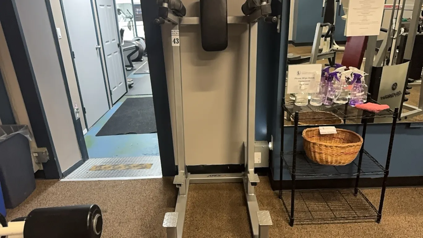 COMMERCIAL APEX VERTICAL KNEE RAISE (VKR) & DIP STATION