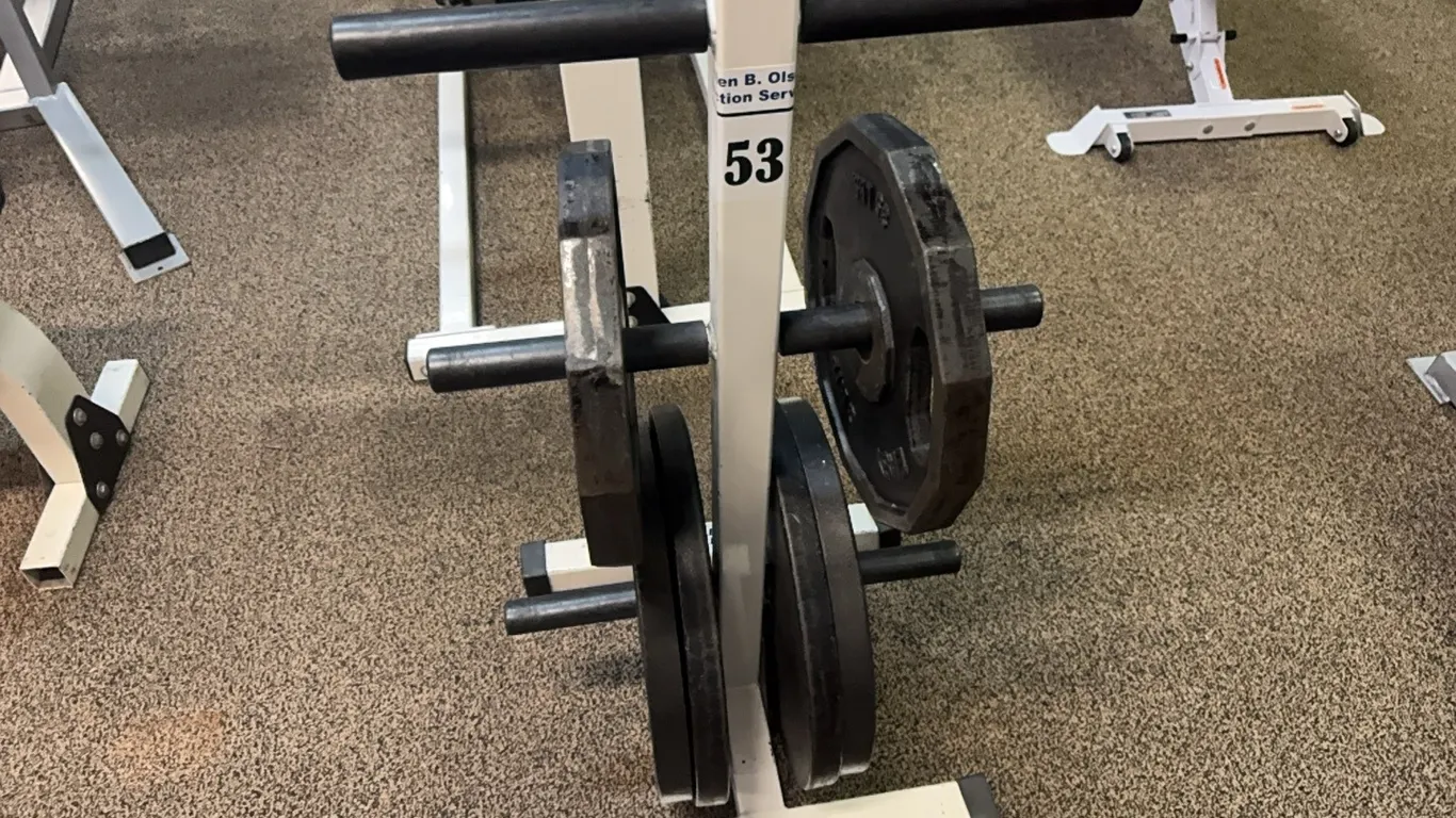 NORTHERN LIGHTS MEDIUM PLATE RACK & IRON PLATES (250 LB)