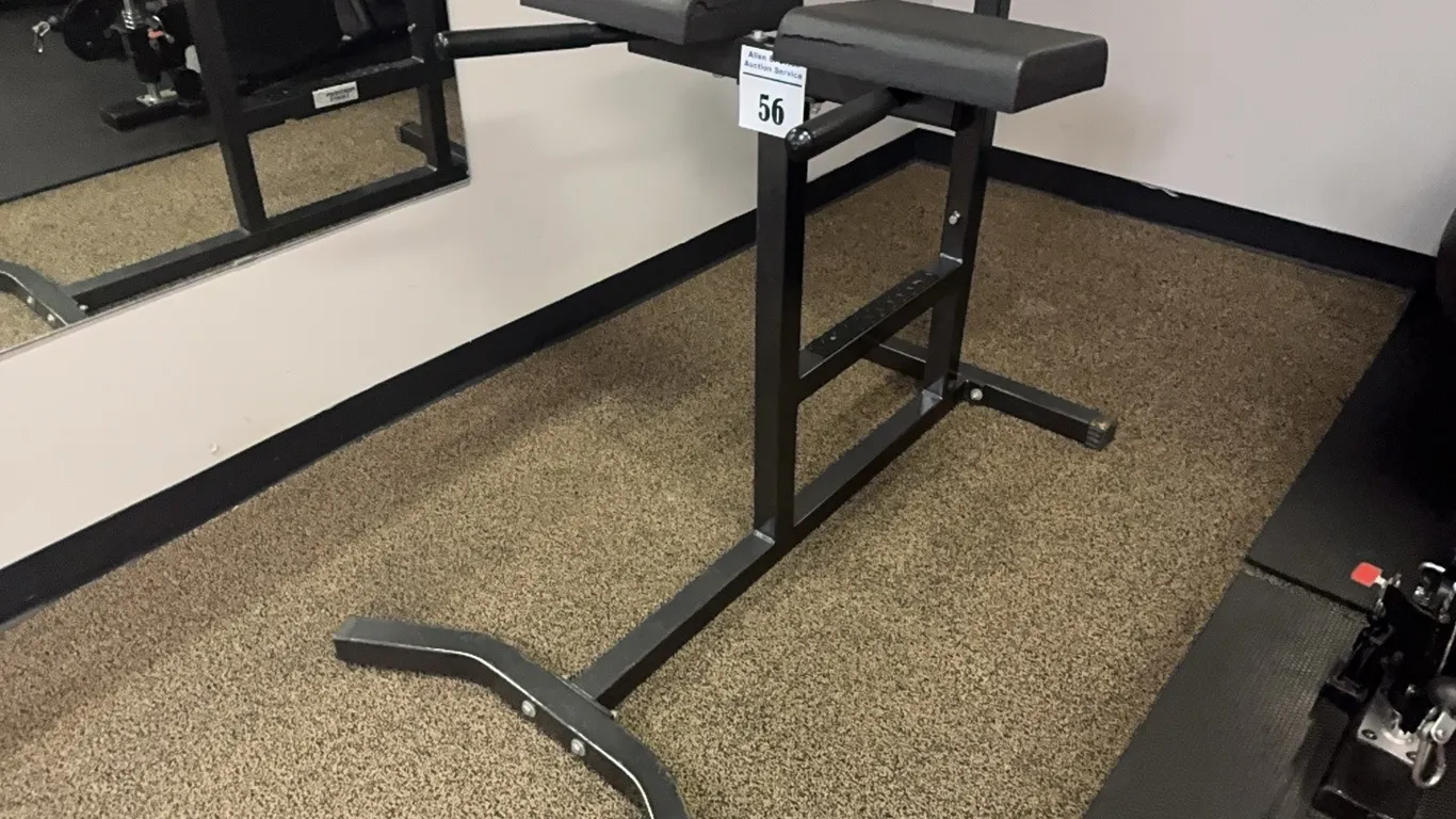NORTHERN LIGHT COMMERCIAL HYPEREXTENSION ROMAN CHAIR BENCH