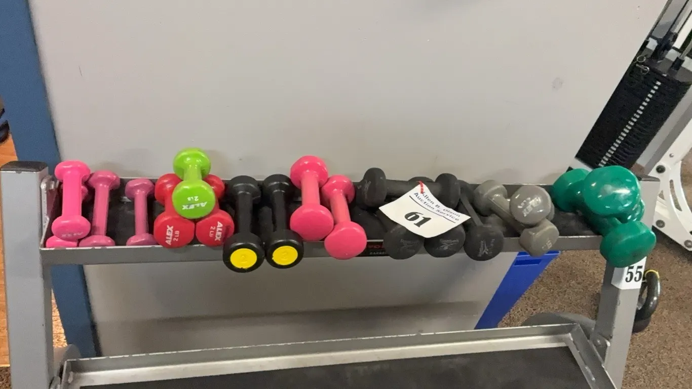 ALEX/REEBOK LIGHTWEIGHT NEOPRENE DUMBBELL SET