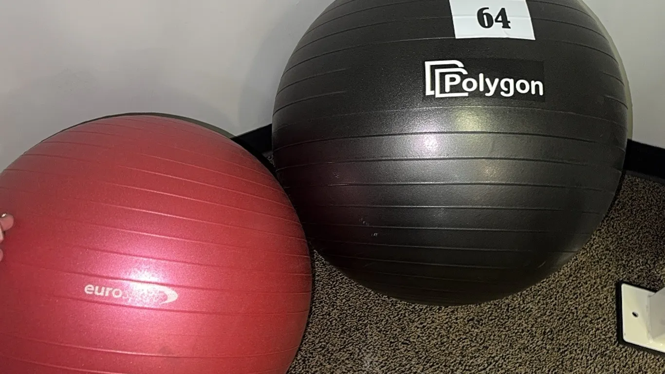 2 - STABILITY BALLS