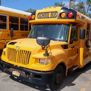 2015 IC Bus AE Series Wheel Chair School Bus/556