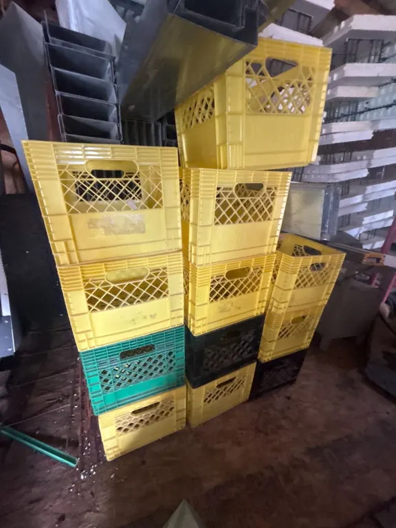 12 Mixed Plastic Milk Crates