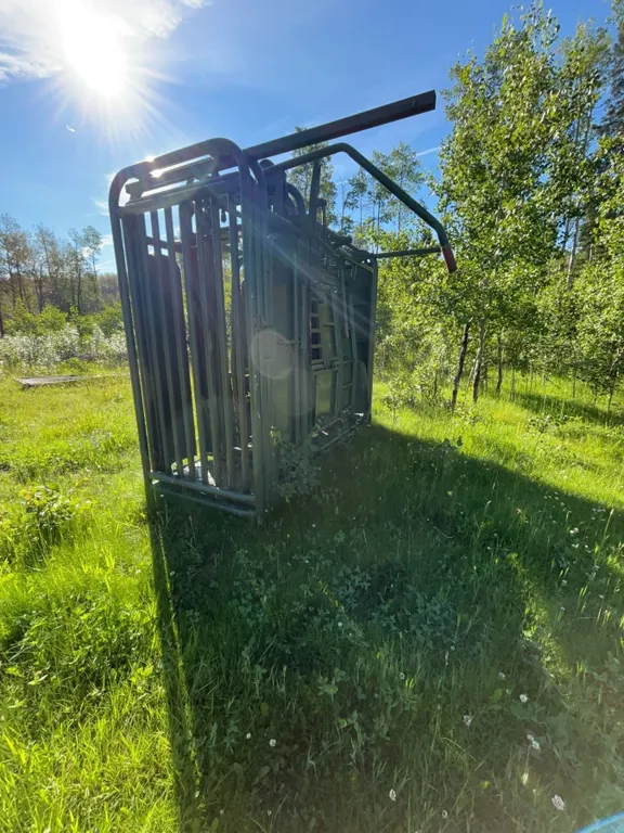 Heavy-Duty Livestock Squeeze Chute Like New