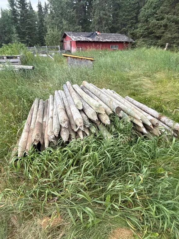 Bundle of Treated Wooden Fence Posts