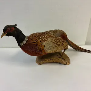 Pheasant
