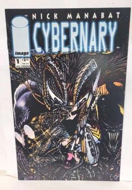 #1 Cybernary Comic