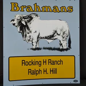 NOS PORCELAIN LIVESTOCK SIGN BRAHMANS ROCKING H RANCH RALPH H. HILL (2 SIDED)