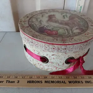 Chicken Hat Box 12"X5.5"
