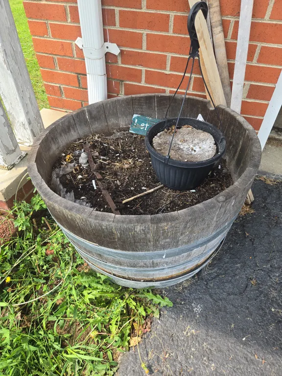Bourbon barrel flower pot