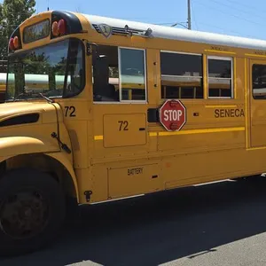 2020 International CE Series School Bus