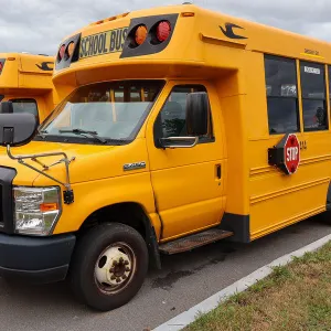 2019 Ford/Blue Bird E-Series School Bus/414