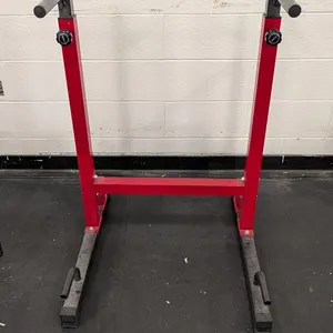 Exercise Dip Station