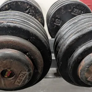 95lb. Weightlifting Dumbbells